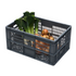Euro Plastic Stacking Box – 600x400x290mm – 55L – Perforated