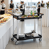 Plastic 2 Shelf Trolley 100kg Capacity 460W x 750L x 940H mm